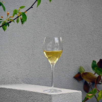 Verres à vin Magnifico