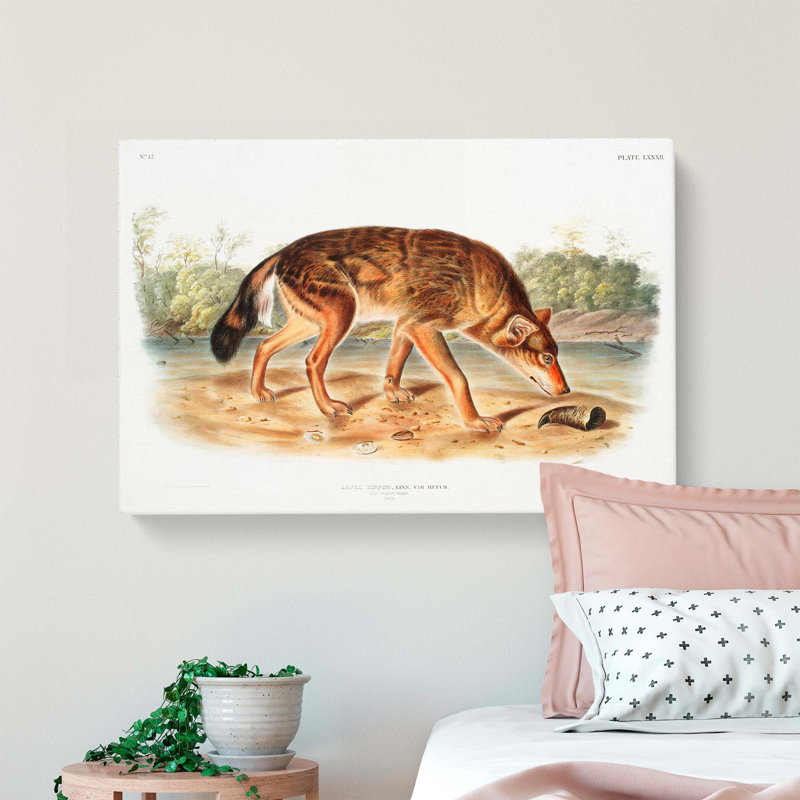 Red Texan Wolf by J.W. Audubon - Wrapped Canvas, 60cm H x 91cm W x 3cm D