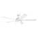 Starkk 60'' Ceiling Fan with LED Lights
