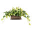 24.89cm Faux Pothos Plant in Solid Wood Planter
