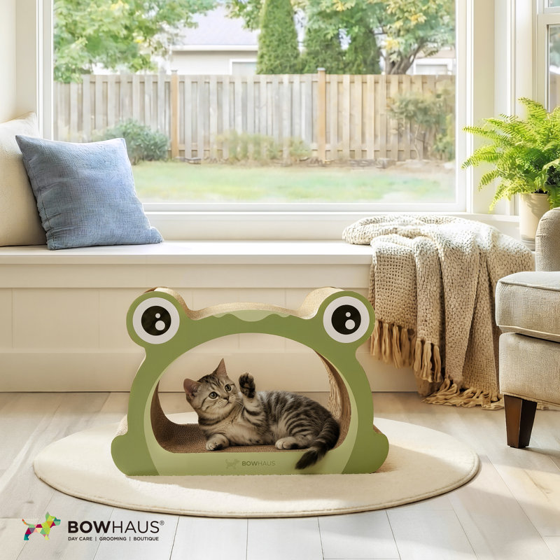 Grattoir de style grenouille, chaise de grattage pour chat avec balle de jeu pour chat d'intérieur, carton à griffer durable et durable, coussin de protection pour meuble