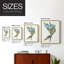 «Blue Tulip Picks II», reproduction encadrée - bois massif-1257719245-1257719244