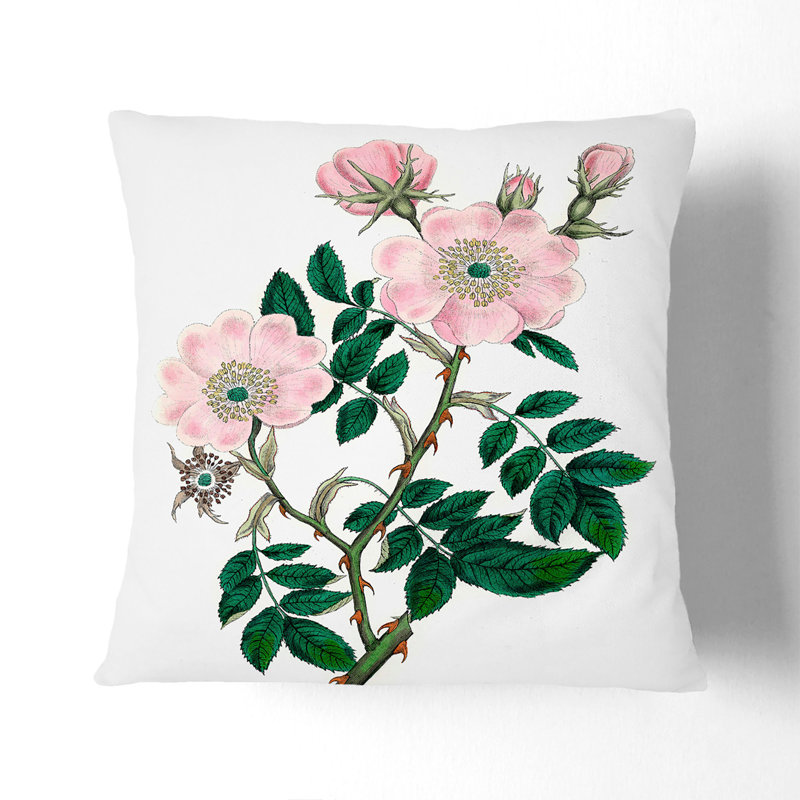Pink Dog Rose Illustration Cushion with Filling, 40cm H x 40cm W x 15cm D
