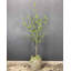Arbre artificiel artificiel-1679349350