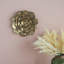 Plaque murale succulente D10x1,4 "
