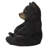 Sitting Black Bear Cub