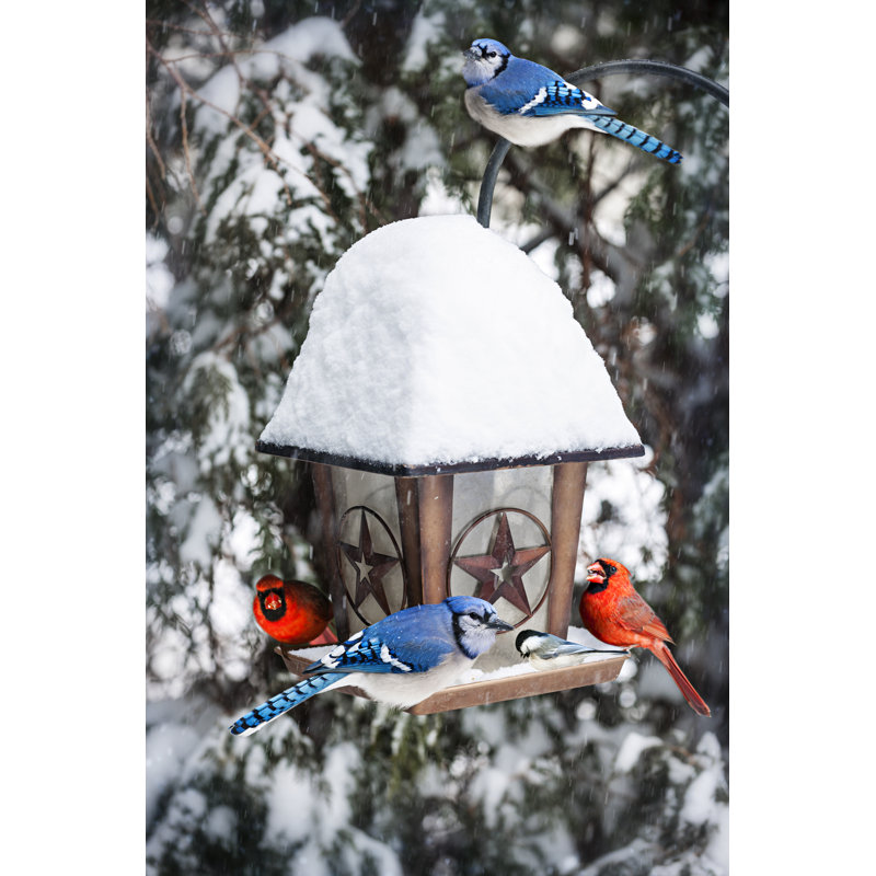 Birds On Bird Feeder In Winter - Wrapped Canvas Print, 46cm H x 30cm W x 3.8cm D