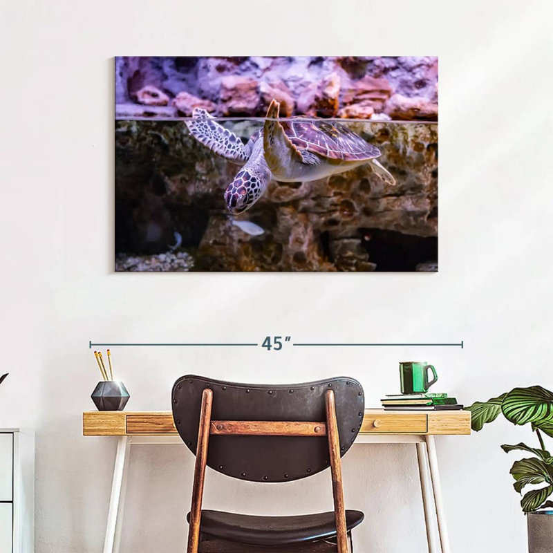 Turtle Aquarium