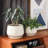 Ceramic Plant Pots 4.1+5.1+6.5 inch-1341610157