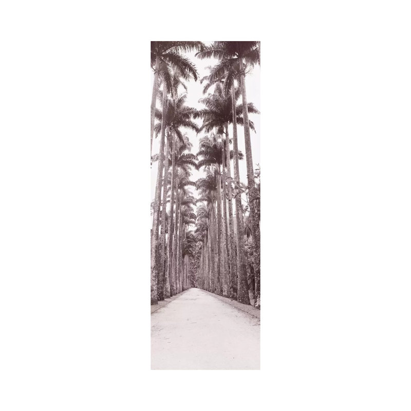 Garden Path, Rio De Janeiro, Brazil by Panoramic Images - Wrapped Canvas Panoramic Print, 30.48 cm H x 91.44 cm W x 1.91 cm D