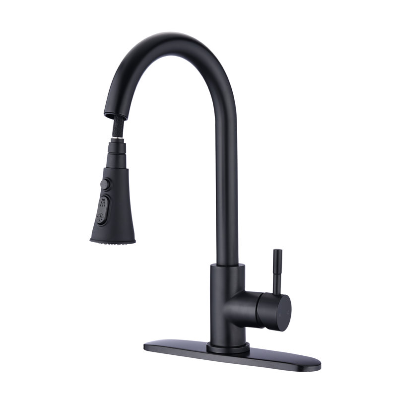 PROOX Pull Down Kitchen Faucet