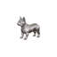 Animals French Bulldog-49609685