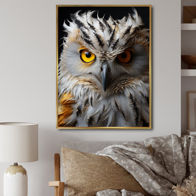 " Gray Owl Animal Monochrome National "