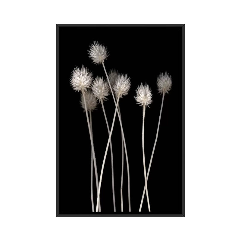 «Dried Up I», impression sur toile, H 26 po x l 18 po x P 1,5 po, Toile avec cadre noir, Pas de tapis