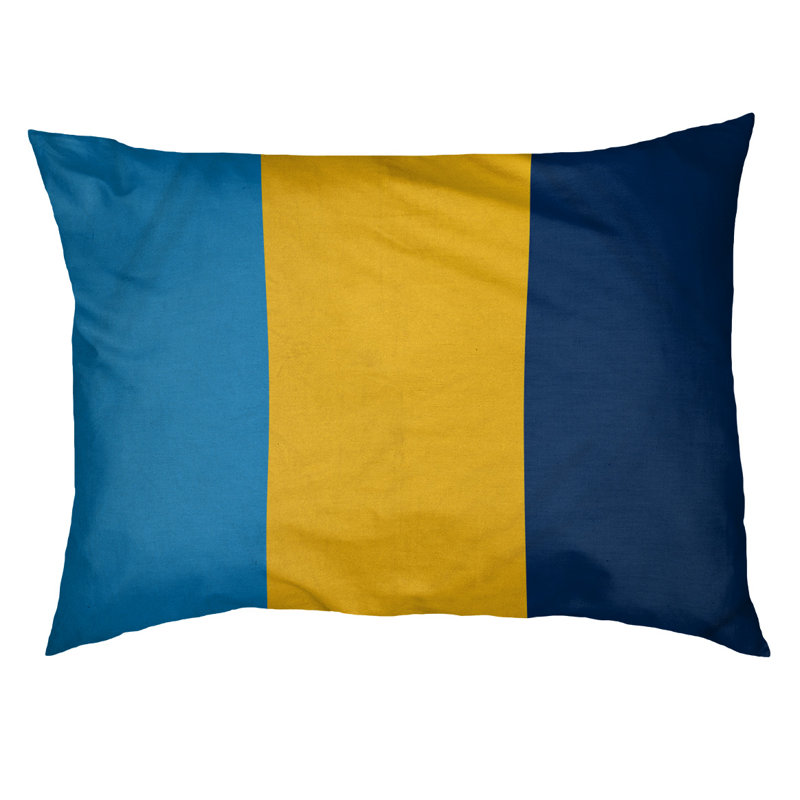 Coussin Cleveland, Grand (l 50 po x P 40 po x H 7 po), Bleu sarcelle / jaune / bleu