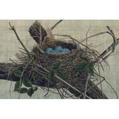 Nesting II by John Butler - Painting