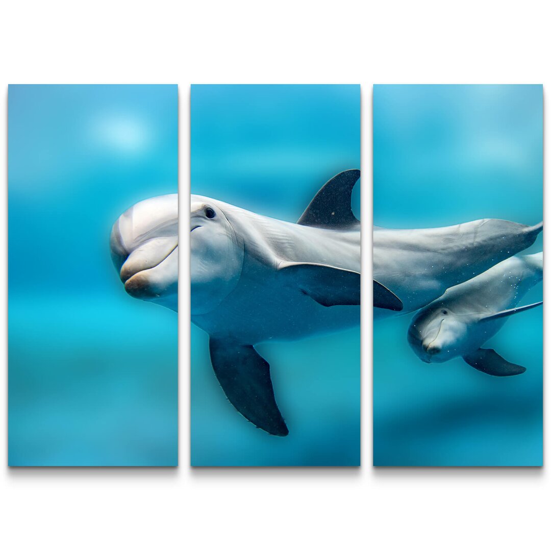 3-tlg. Leinwandbilder-Set Delphin Mutter und Baby