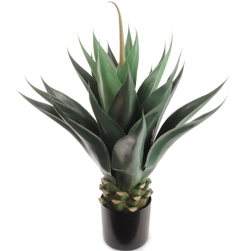 Plante grasse artificielle en pot