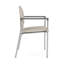 Chaise d'invité Chat Chat-98881775-98671305