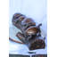 Statue en bronze avec quatre tortues sur un arbre, collection Nifao 39 po x 15 po x H 10 po