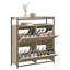12 Pair Shoe Storage Cabinet-1056149482