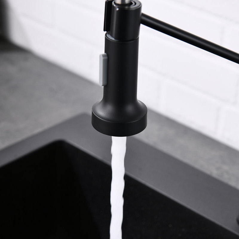 Robinet de cuisine chaud et froid, noir, douchette extractible, laiton massif, robinet de mélange moderne à poignée simple, robinet de régulation de débit
