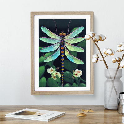 Dragonfly in Nature - Framed Print