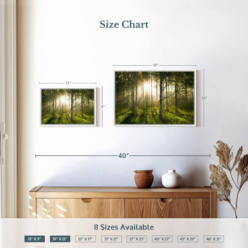 Birch Forest Sunlight, Cadre flottant blanc, 19 po x 13 po