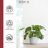 Ecopots Oslo Indoor/Outdoor Modern Recycled Plastic Flower Pot Planter-80209421-80209420