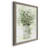 " Delicate Greenery II "-1870710662-1870710650