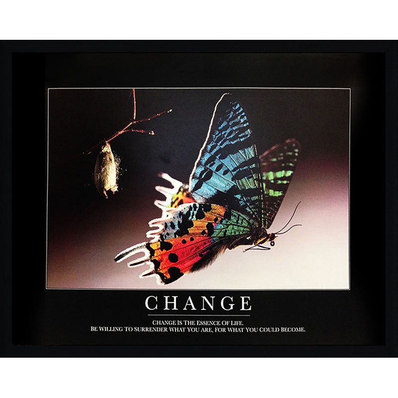 « change papillon », reproduction d’impression encadrée