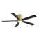 Dc Motor Indoor Flush Mount Ceiling Fan With Light Kit And Remote