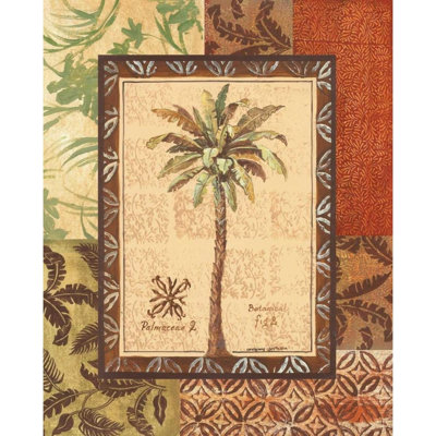 ArtDirect Gorham, Gregory Gallery Wrapped Canvas Art Titled: Palmaceae II