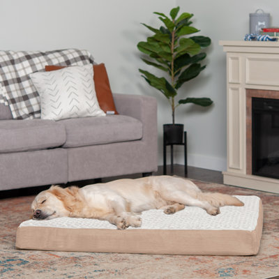Orthopedic Polyester Pet Bed