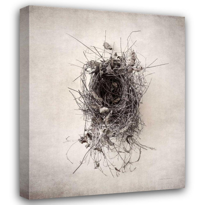 Art sur toile tendue avec Dovecove Van Swearingen, Debra, H 44 po x l 36 po