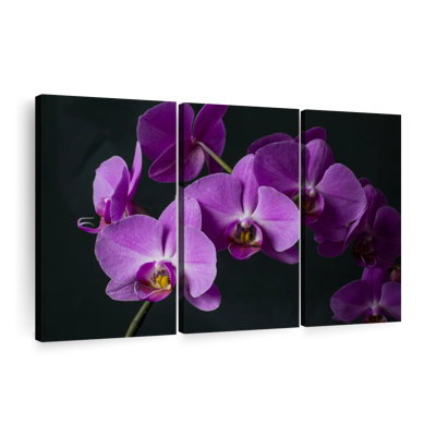 «Fancy Purple Orchids», 3 pièces