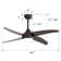 Ceiling Fan with LED Lights
