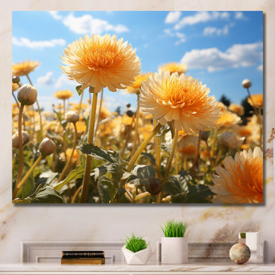 " Dandelion Sunlit Petals I "