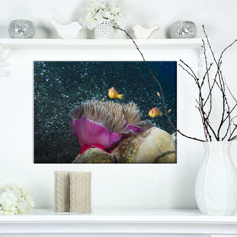 «Clownfish Hosting the Pink Anemone», reproduction de photo sur toile tendue, H 20 po x l 20 po x P 1 po