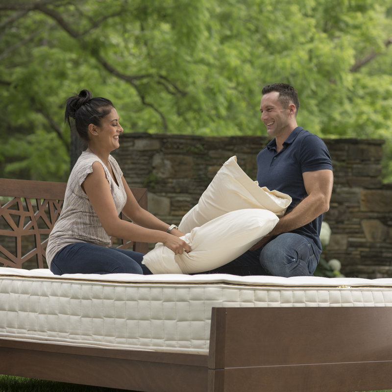 PLA Pillow with Organic Fabric, Standard