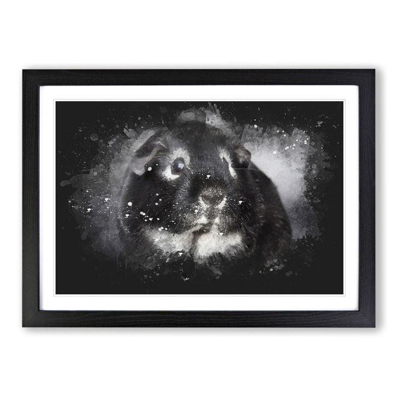 Guinea Pig - Picture Frame Graphic Art, 27cm H x 36cm W x 2cm D, Black Framed