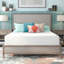 Serenia Sleep 14" Medium Memory Foam Mattress-13494678