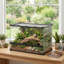 Reptile Box
