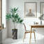 66 plantes-97701521