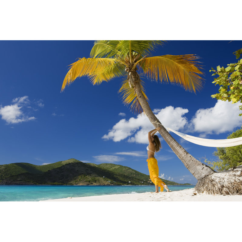 Plage des Caraïbes par CDheatley, H 20 po x l 30 po