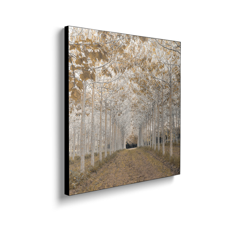 Steelpix Metal Canvas -  White Gold By Assaf Frank Wall Art Print