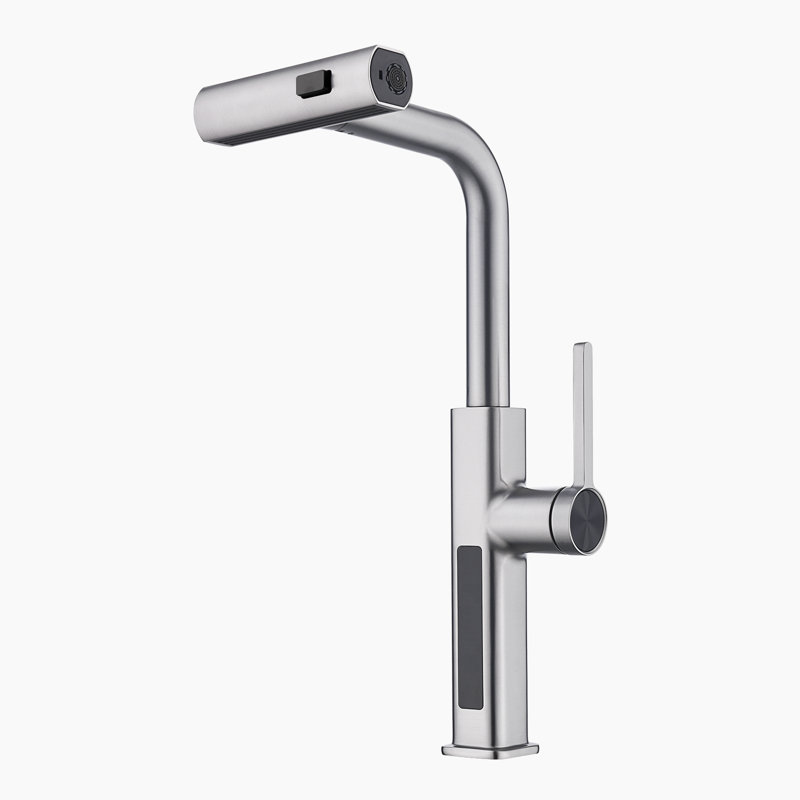 Single Handle Kitchen Faucet with Accessories, Brushed Nickel
