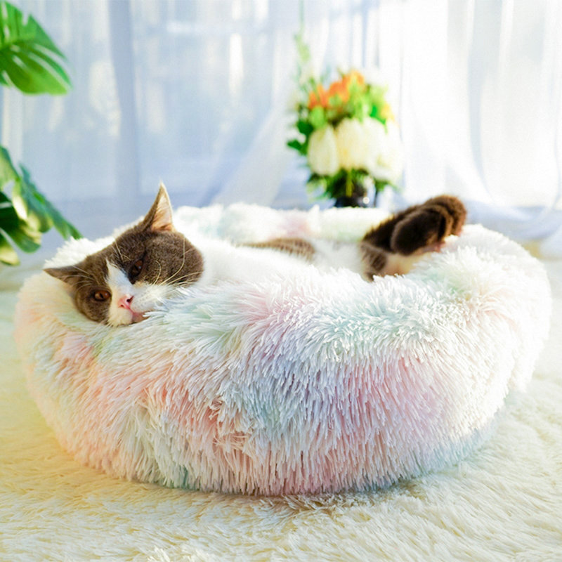 Tapis pour animal de compagnie Cecilla, Rose, Très petit (l 16 po x P 16 po x H 4 po)