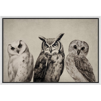 Bird " Duotone Owl Portraits Vintage Antique Farmhouse Decor Nature Animals Modern Art Cozy Decor "