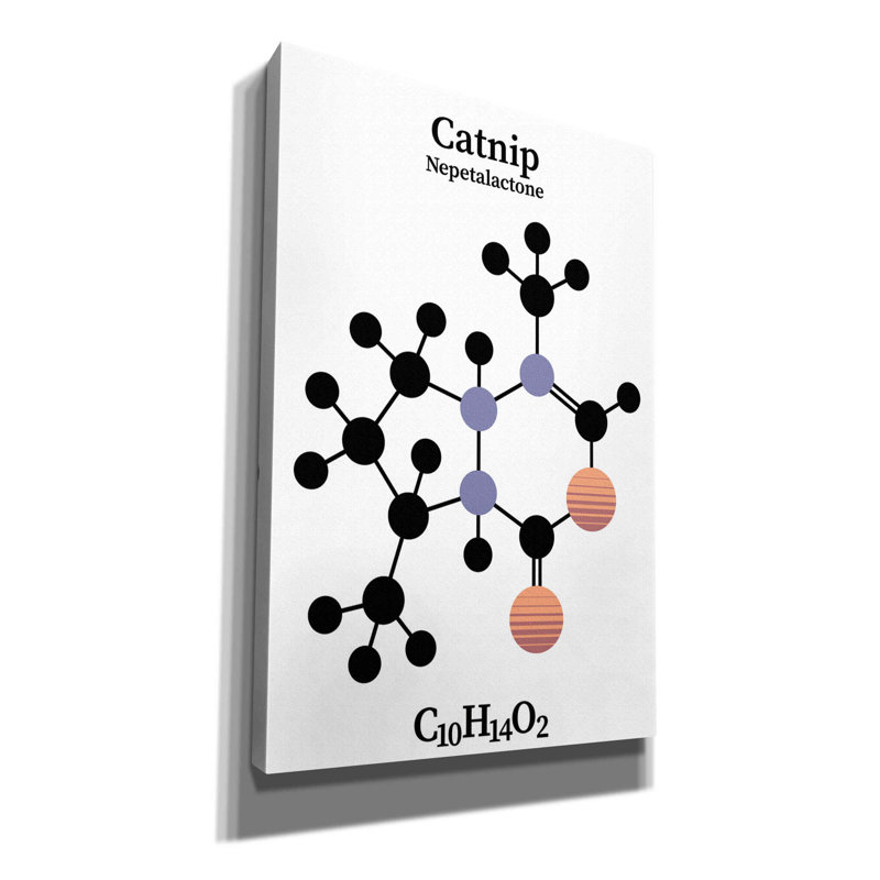 " Catnip Molecule " by Maxim, 18" H x 12" W x 0.75" D